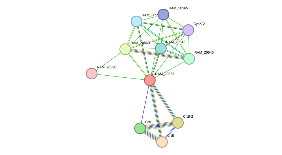 STRING protein interaction network