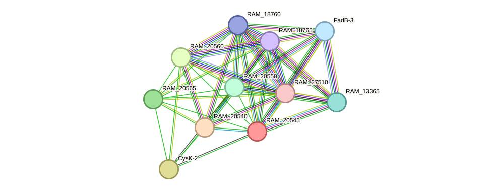 STRING protein interaction network