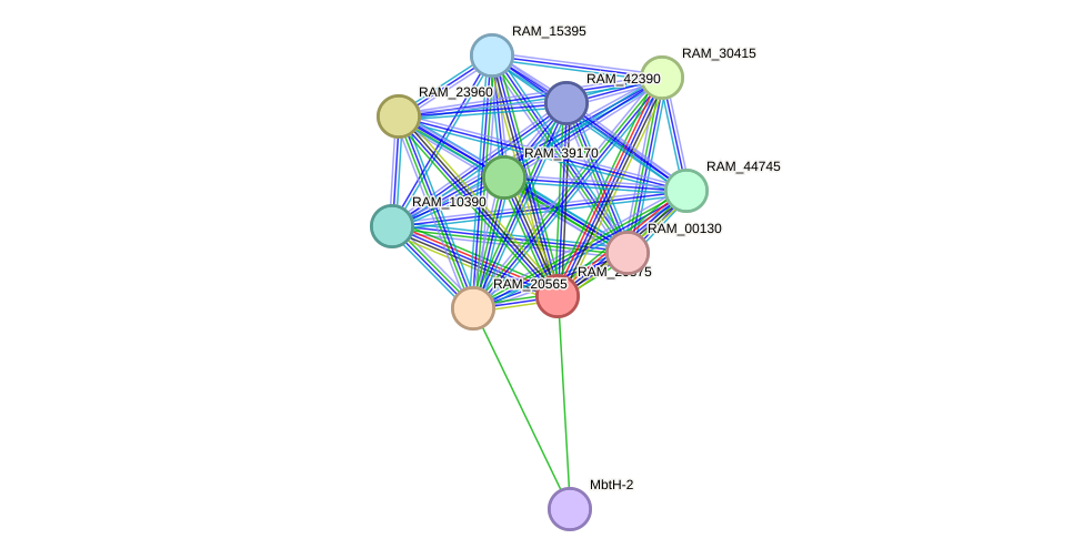 STRING protein interaction network