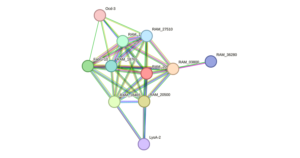 STRING protein interaction network