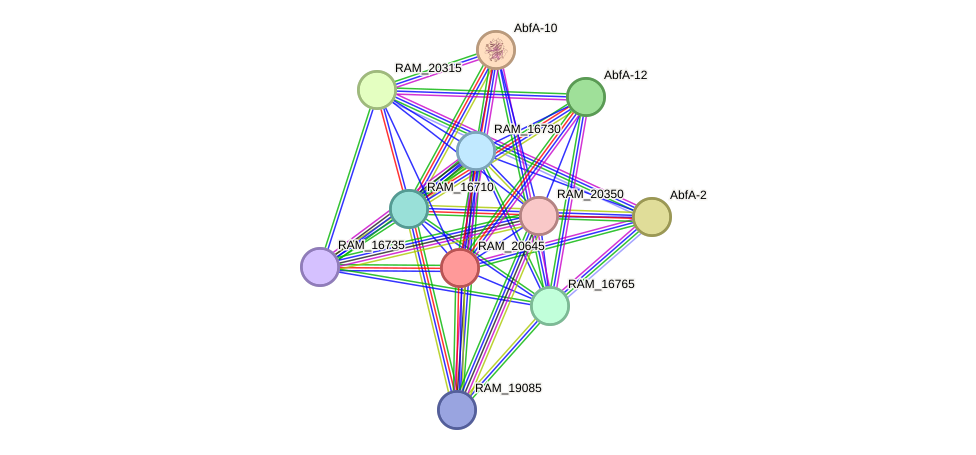 STRING protein interaction network