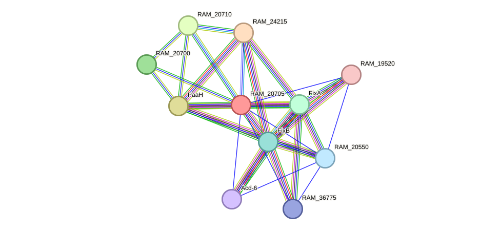 STRING protein interaction network