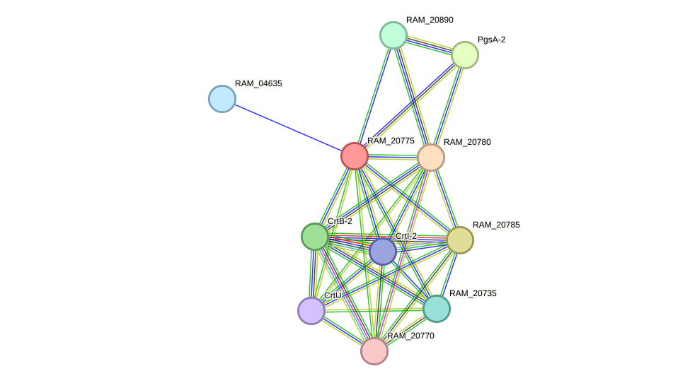STRING protein interaction network