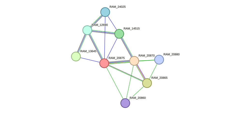 STRING protein interaction network