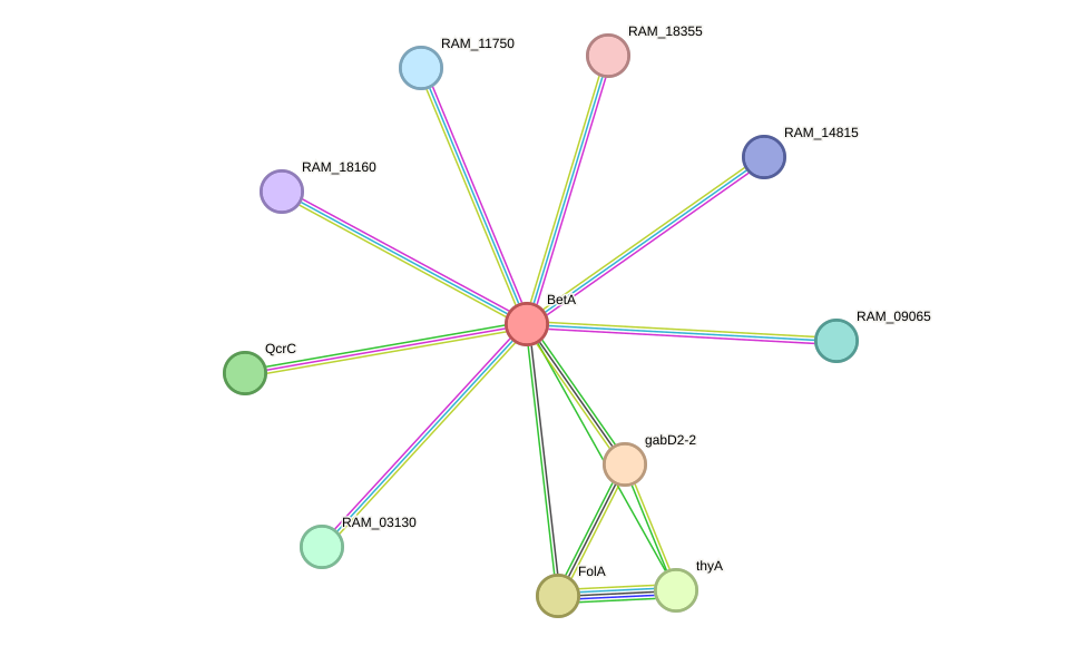 STRING protein interaction network