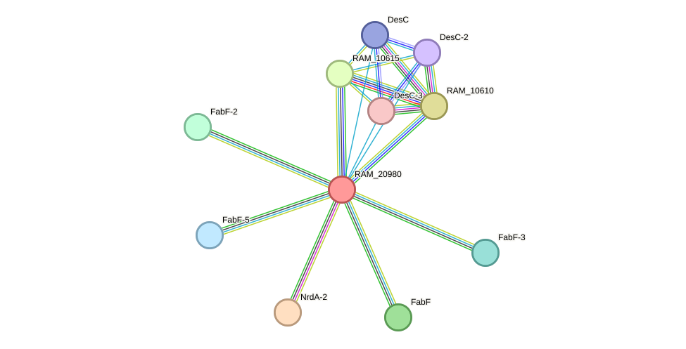 STRING protein interaction network