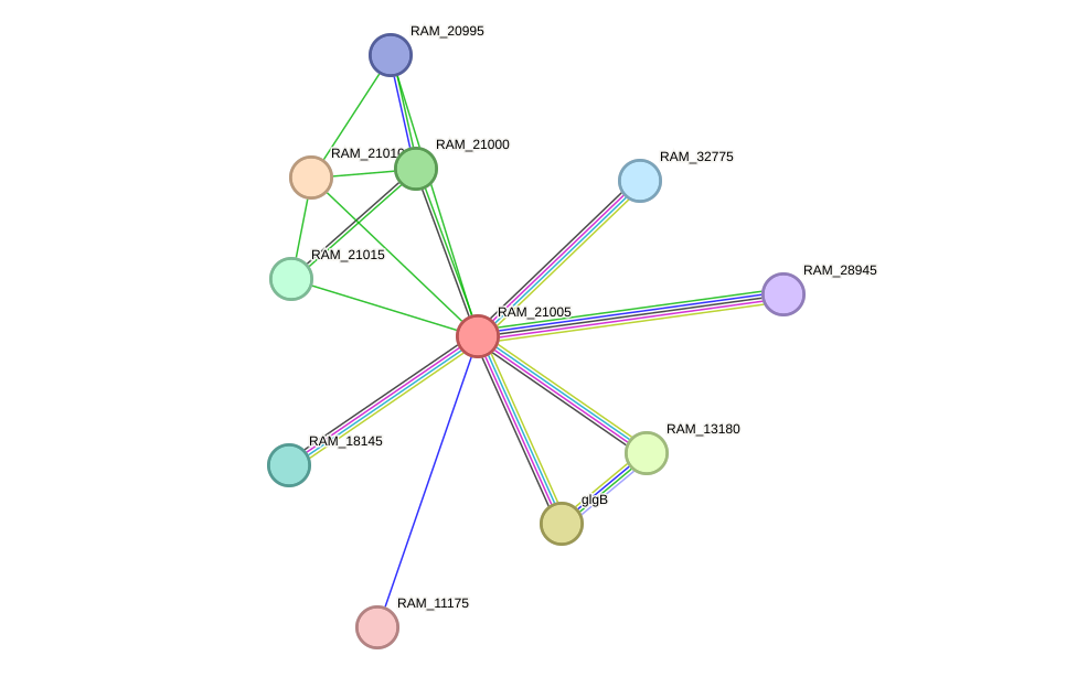 STRING protein interaction network