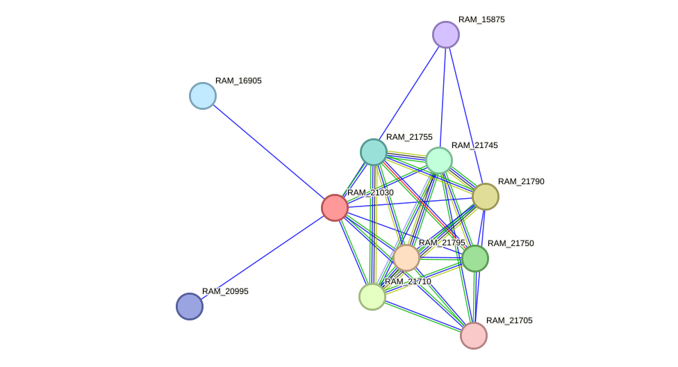 STRING protein interaction network