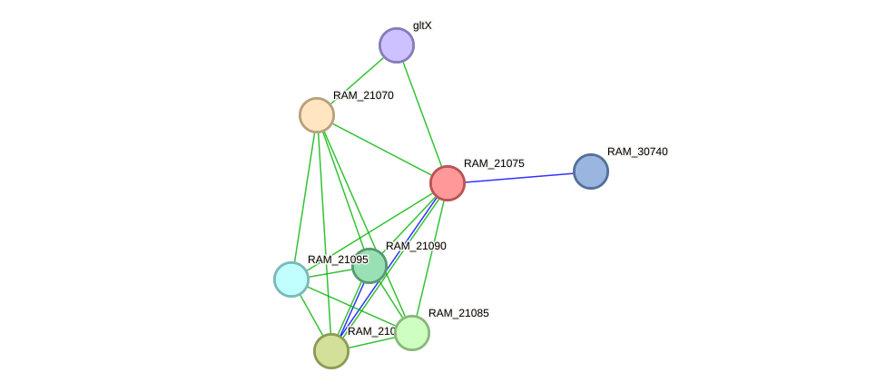 STRING protein interaction network