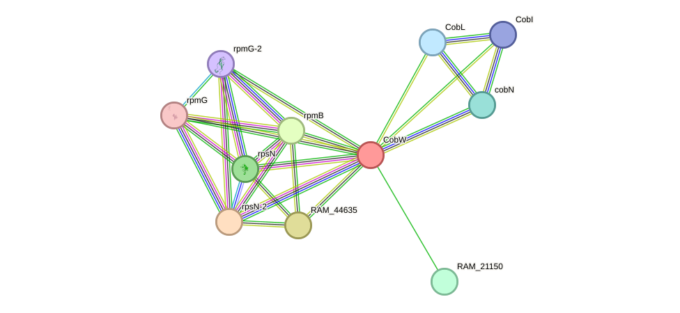 STRING protein interaction network
