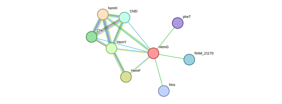 STRING protein interaction network