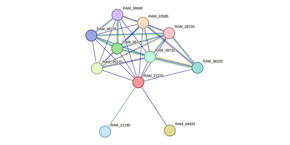 STRING protein interaction network