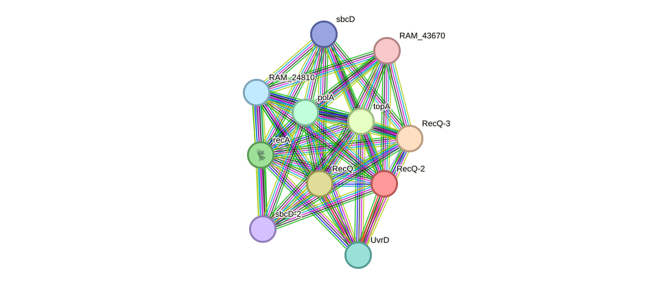 STRING protein interaction network