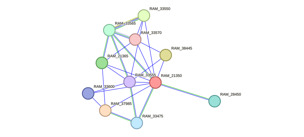 STRING protein interaction network