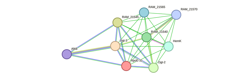 STRING protein interaction network