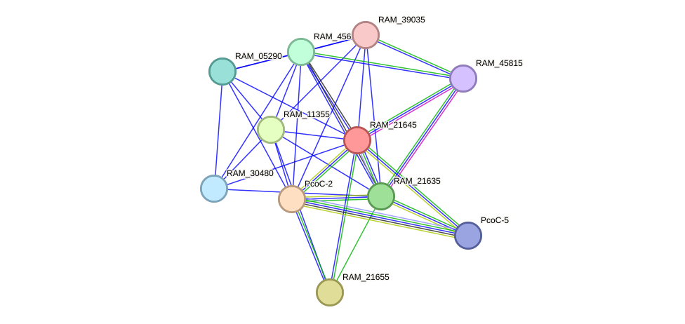 STRING protein interaction network