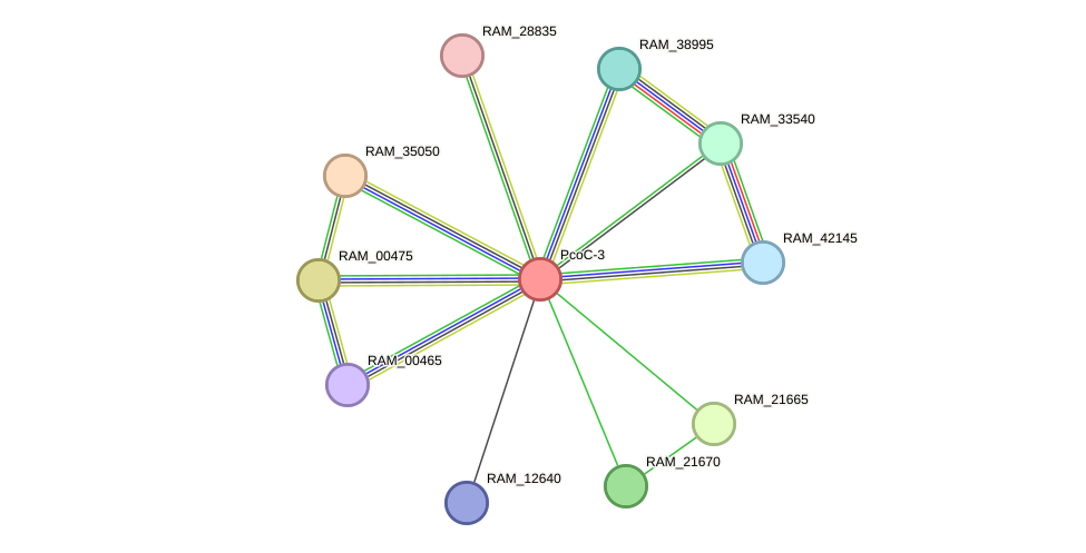 STRING protein interaction network