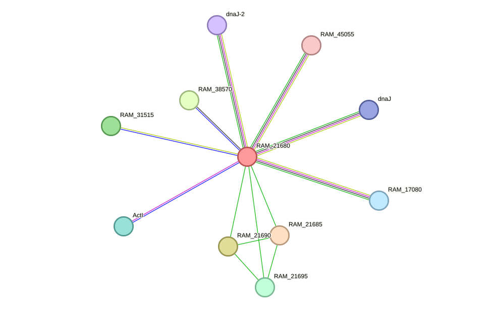 STRING protein interaction network