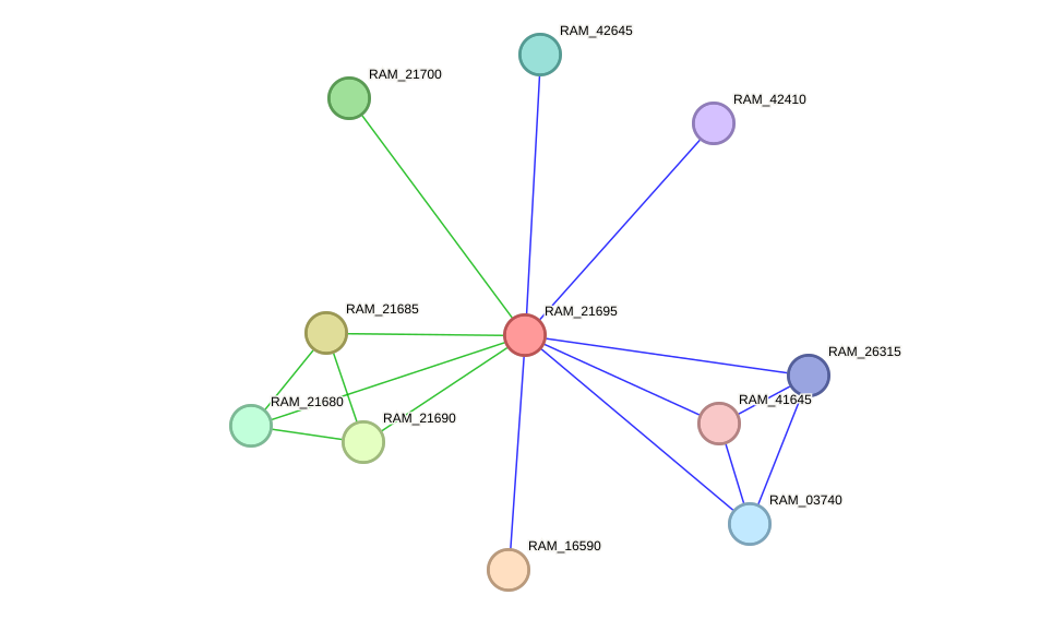 STRING protein interaction network