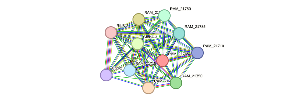 STRING protein interaction network