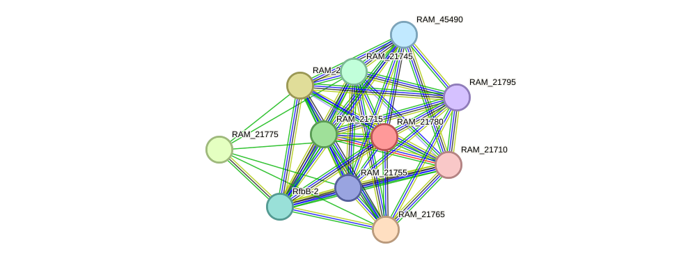 STRING protein interaction network
