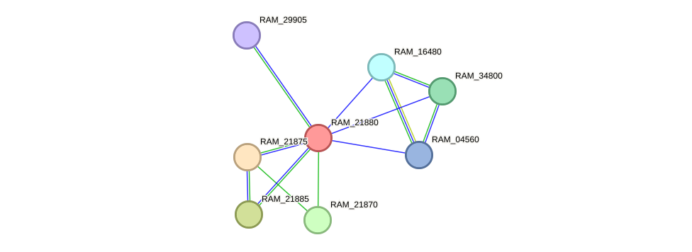 STRING protein interaction network