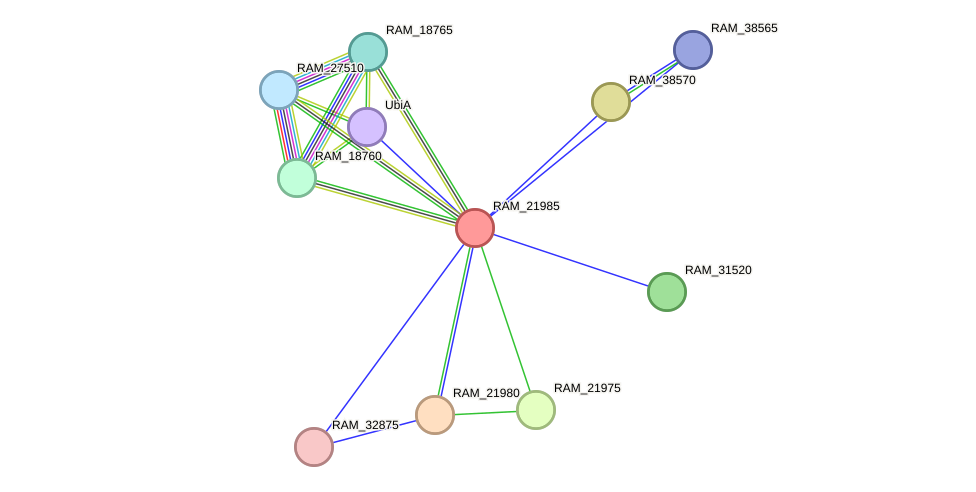 STRING protein interaction network