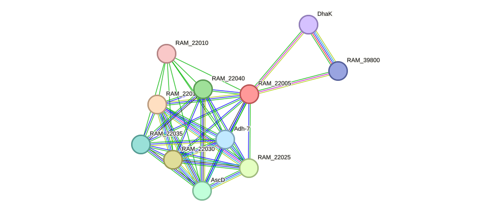 STRING protein interaction network