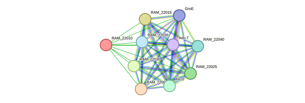 STRING protein interaction network