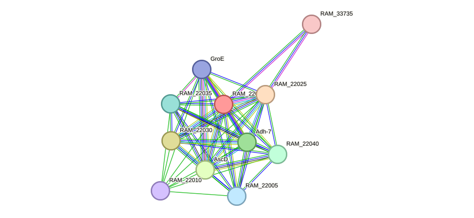 STRING protein interaction network