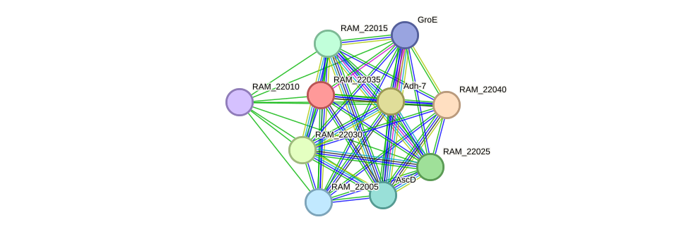 STRING protein interaction network