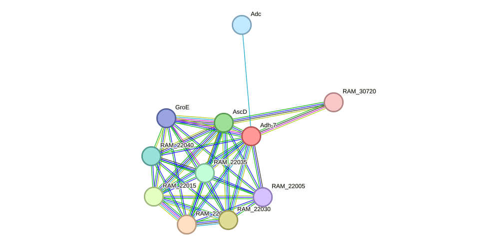 STRING protein interaction network