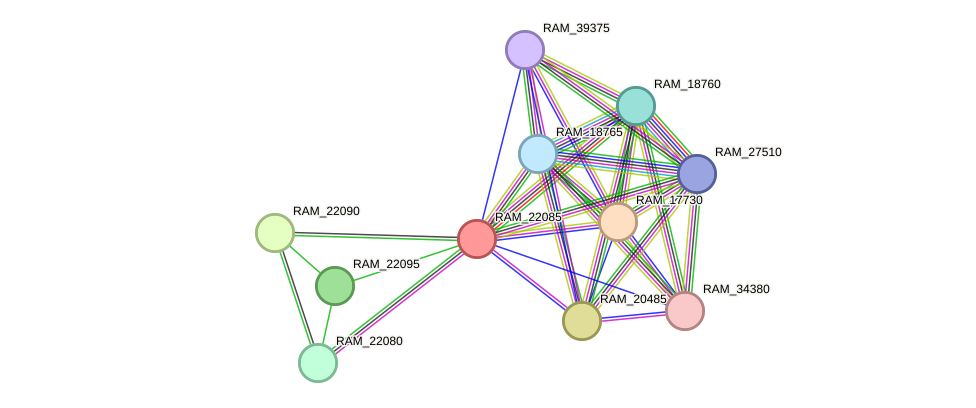 STRING protein interaction network