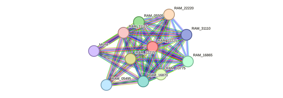 STRING protein interaction network