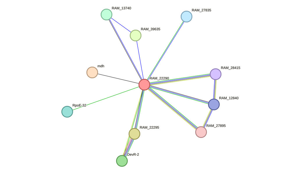 STRING protein interaction network