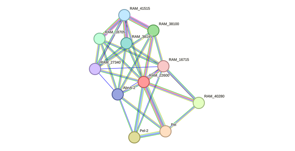 STRING protein interaction network