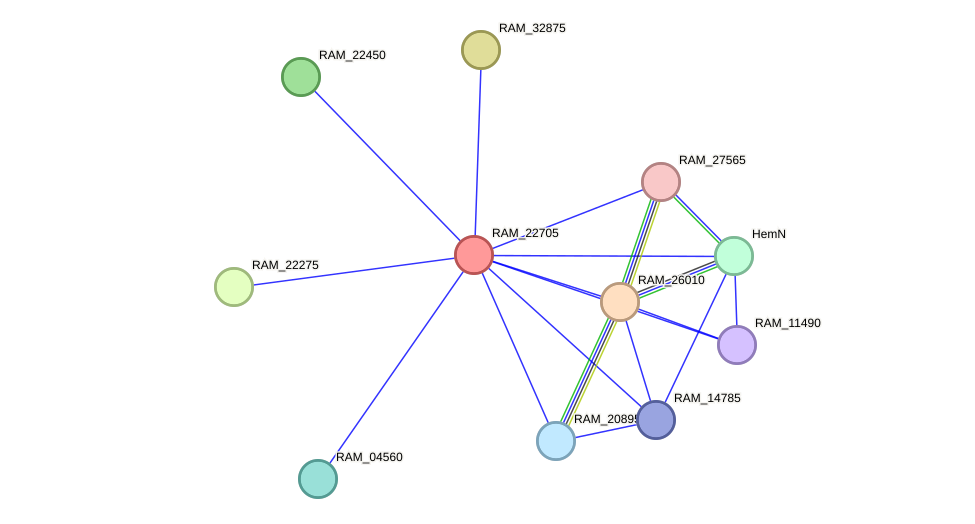 STRING protein interaction network