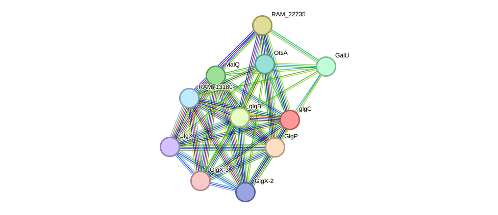 STRING protein interaction network