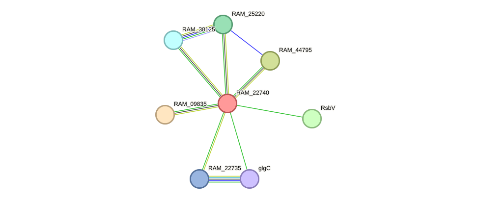 STRING protein interaction network