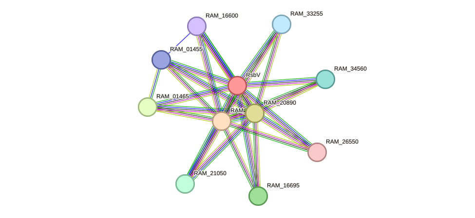 STRING protein interaction network
