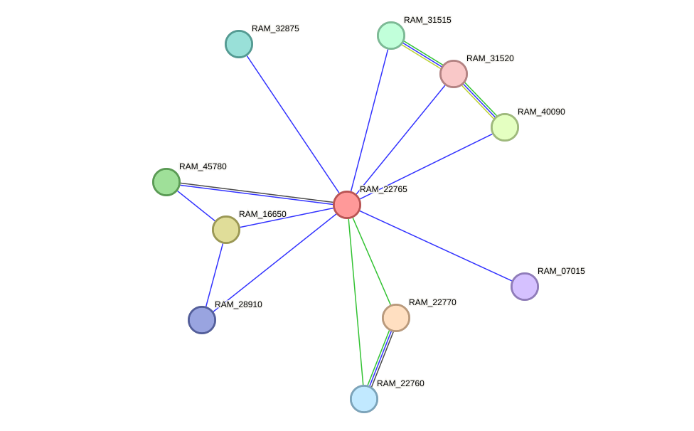STRING protein interaction network