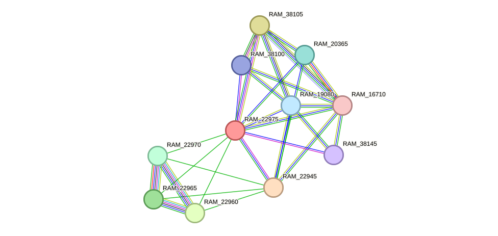 STRING protein interaction network