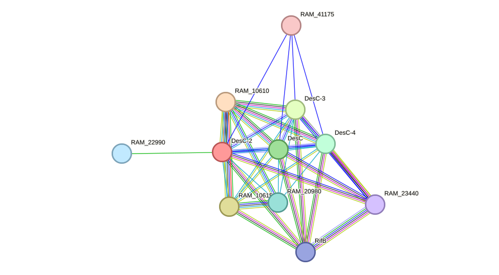 STRING protein interaction network