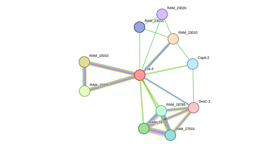 STRING protein interaction network