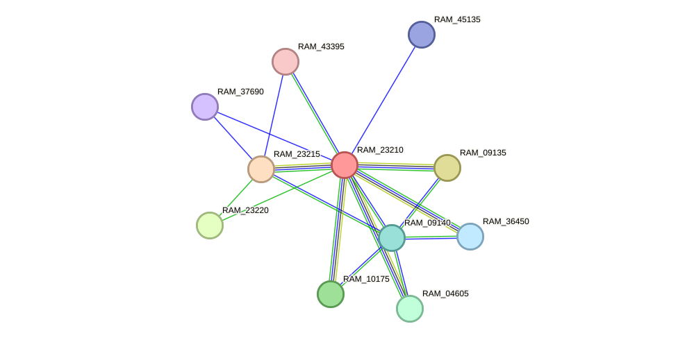 STRING protein interaction network