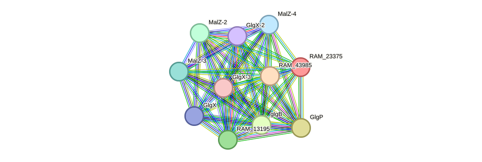 STRING protein interaction network