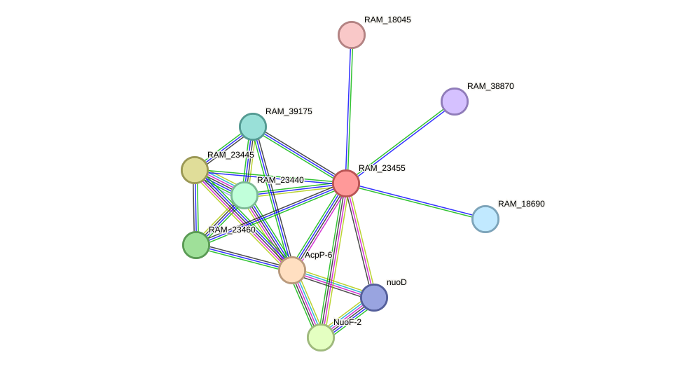 STRING protein interaction network