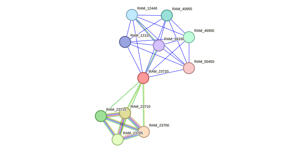 STRING protein interaction network