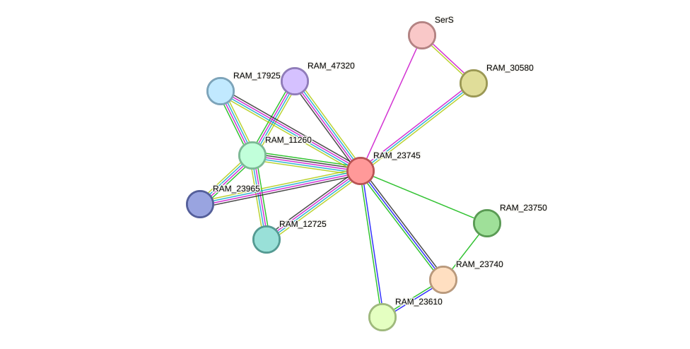STRING protein interaction network