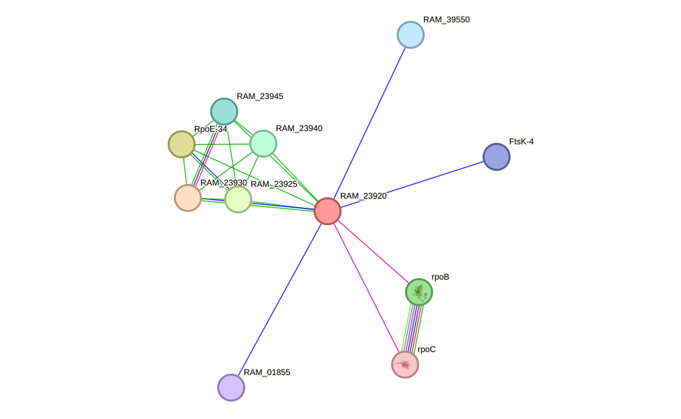 STRING protein interaction network